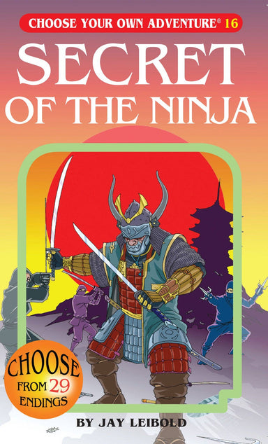 Secret Of The Ninja, Children's Book - Saltire Games