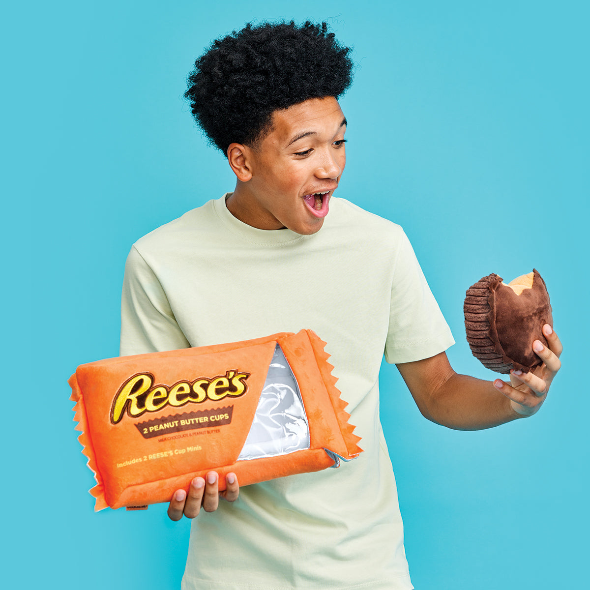 Reese's Peanut Butter Cups Packaging Plush - Saltire Games