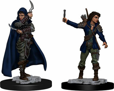 Female Human Rogue - Saltire Games