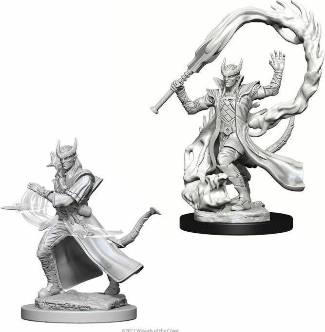 Male Tiefling Sorcerer - Saltire Games