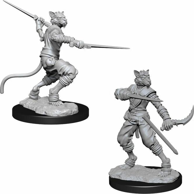 Male Tabaxi Rogue - Saltire Games