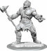 D&D Nolzur's Marvelous Miniatures: Cyclops - Saltire Games