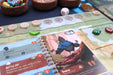 Board Game Allplay Flock Together