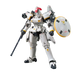 Model Kits - Plastic - Gunpla Bandai RG Tallgeese (EW)