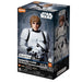 Star Wars: A New Hope Luke Skywalker Stormtrooper Disguise Version Blokees Model Kit - Saltire Games