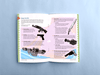 Role Playing Games Bright Bard Games Axolotl with a Gun 2nd Edition