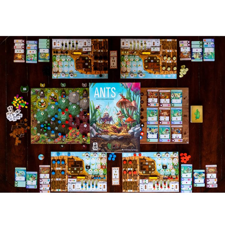 Ants - Saltire Games