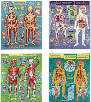 Human Anatomy Body Systems - Four 48 Piece Puzzles - Saltire Games