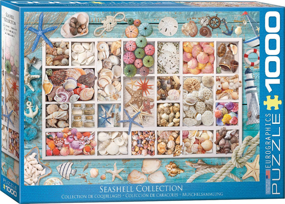Laura's Seashell Collection - Saltire Games