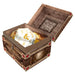 D&D Fizban's Fortune Misfit Blind Mystery Box - Saltire Games