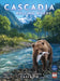Board Games Flatout Games Cascadia Rolling Rivers