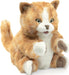 Kitten, Orange Tabby Hand Puppet - Saltire Games