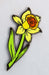 HOLLOW HEARTS ENAMEL PIN: DICE DAFFODIL - Saltire Games