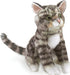 Mini Tabby Cat - Saltire Games