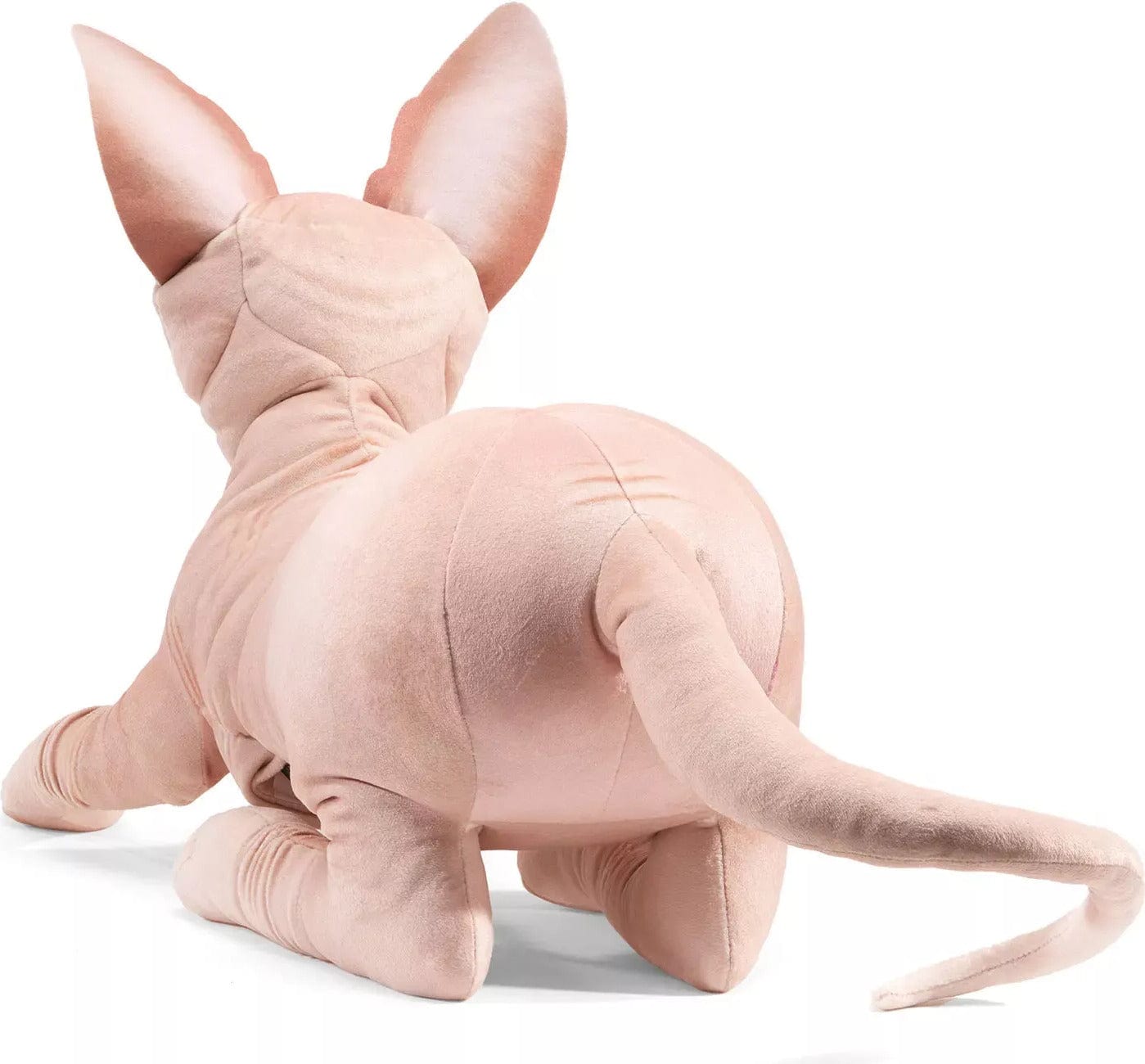 Sphynx Cat - Saltire Games