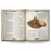 Role Playing Games Free League Dragonbane RPG: Book of Magic
