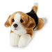 Toys - Plush Giffa 9in Dog Beagle - Anthony