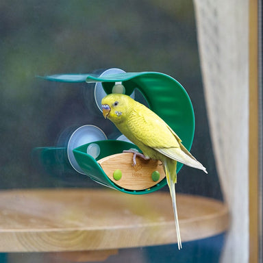 Nature Fun Window Bird Feeder - Saltire Games
