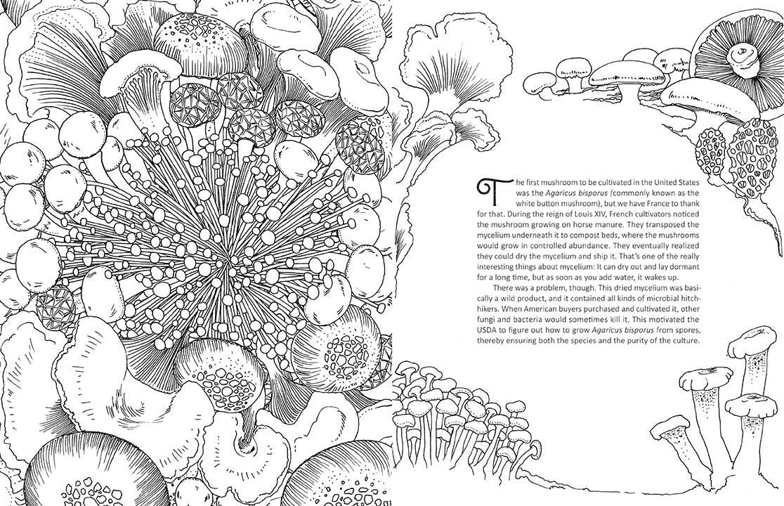 Fantastic Fungi: The Coloring Book - Saltire Games