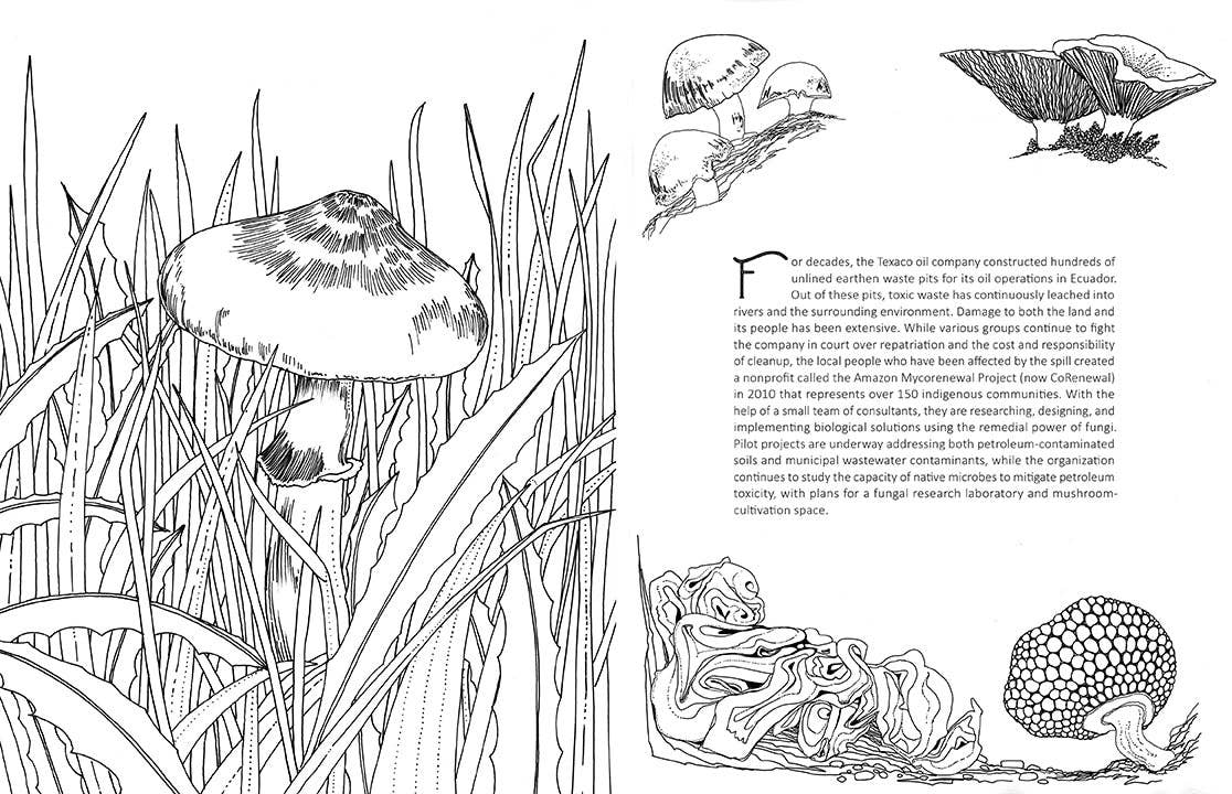 Fantastic Fungi: The Coloring Book - Saltire Games