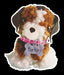 Pom-Pom Puppies - Saltire Games