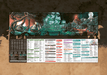 Pirate Borg GM Screen - Saltire Games