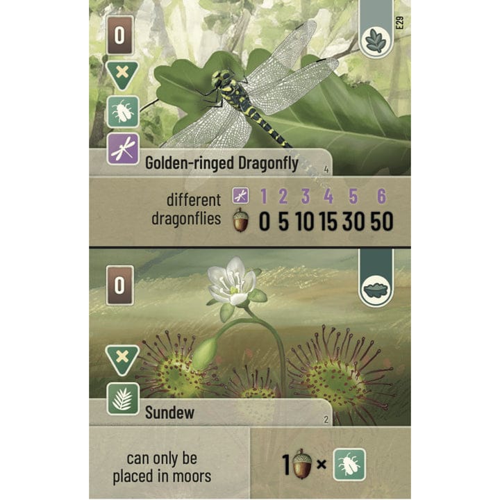 Board Games - Card Games - Expandable Lookout Games Forest Shuffle Dartmoor - Exmoor