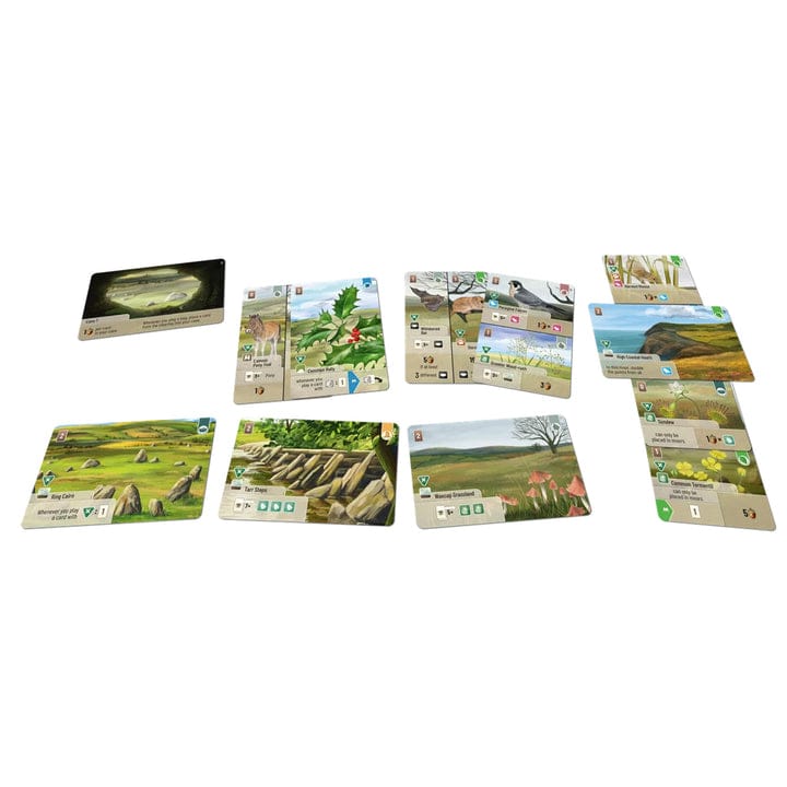 Board Games - Card Games - Expandable Lookout Games Forest Shuffle Dartmoor - Exmoor
