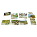 Board Games - Card Games - Expandable Lookout Games Forest Shuffle Dartmoor - Exmoor