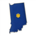 Novelty - Pin Norse Foundry Blue Indiana d20 Pin