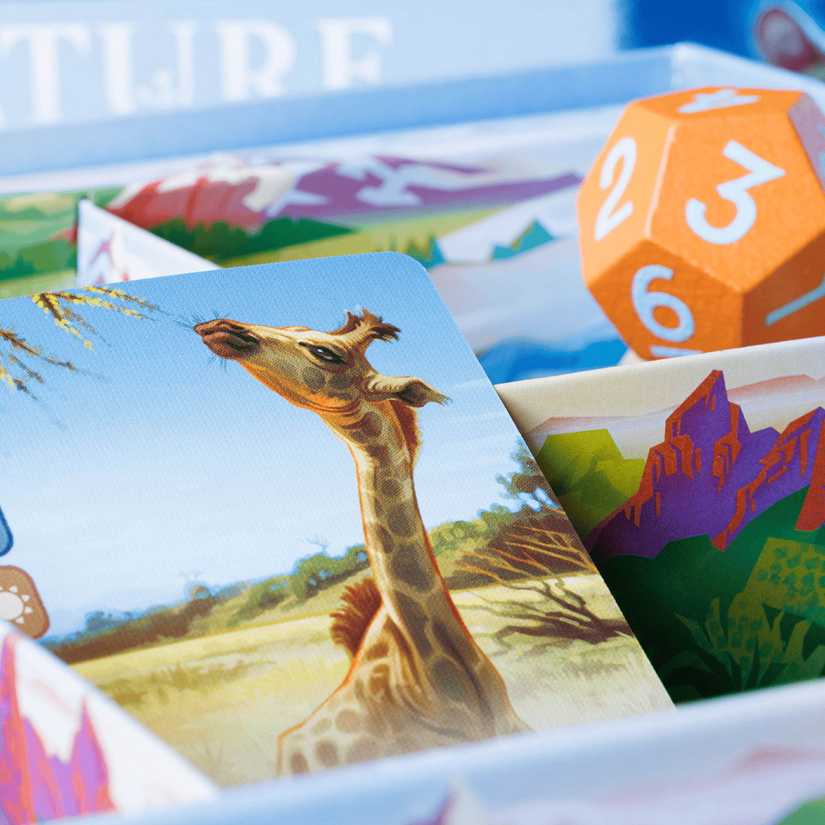 Board Game North Star Games Nature Module 6: Climate