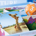Board Game North Star Games Nature Module 6: Climate