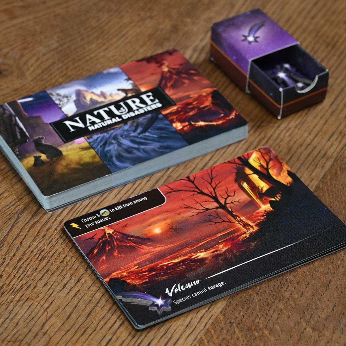 Board Games North Star Games Nature Module 3: Natural Disasters