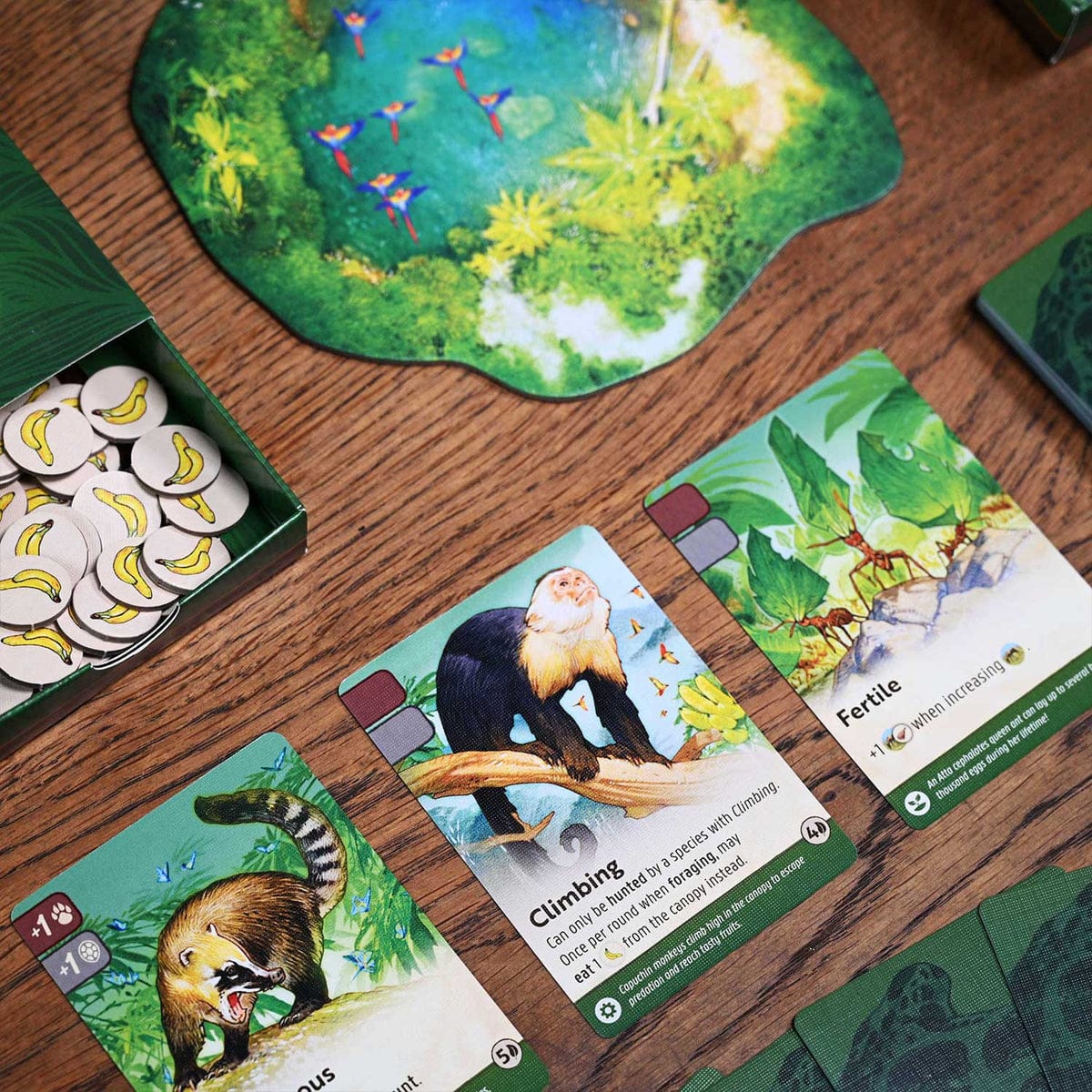 Board Games North Star Games Nature Module 5: Amazon Rainforest