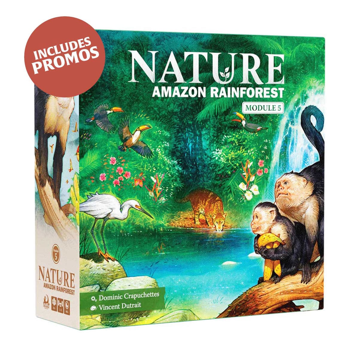 Board Games North Star Games Nature Module 5: Amazon Rainforest