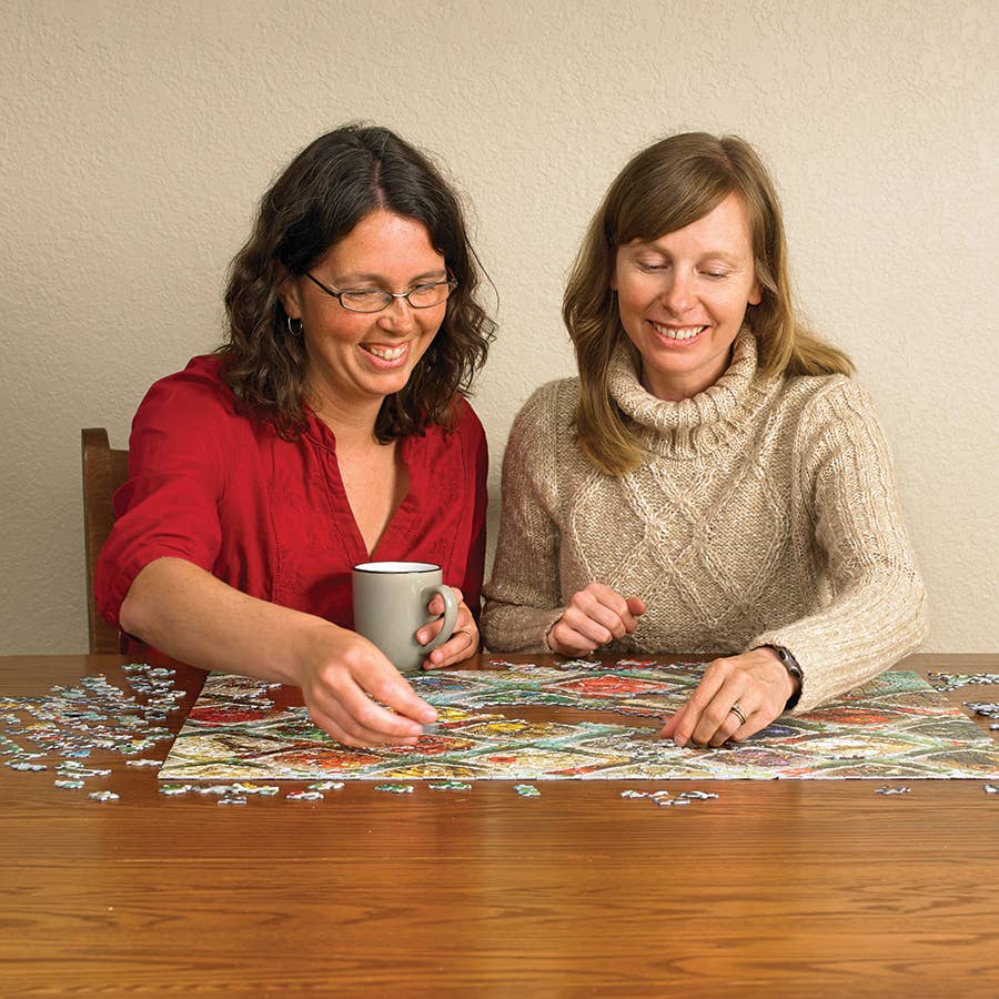 Puzzles - Jigsaw - Accessories Outset Games and Cobble Hill Puzzles State Birds of America 1000-Piece Puzzle