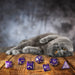 CATS Dice Set: Purrito - Saltire Games