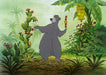 Disney Vault: Baloo (1000 Pc Puzzle) - Saltire Games