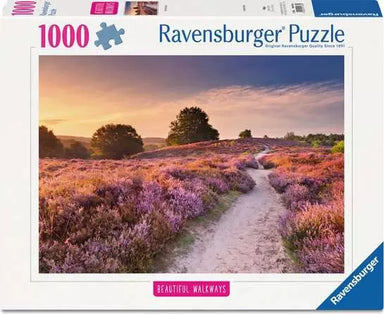 Pink Pathway - Saltire Games