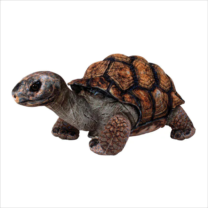 Toys - Plush Real Planet Brown Desert Tortoise 18"