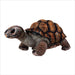 Toys - Plush Real Planet Brown Desert Tortoise 18"