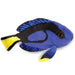 Toys - Plush Real Planet Mini Blue Tang 7.5"