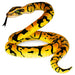 Toys - Plush Real Planet Yellow Python 118"