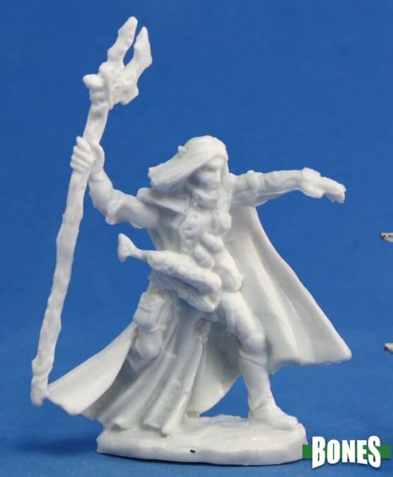 Elquin High Elf Adventurer - Saltire Games