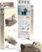 Eugy Sea Otter 3d Puzzle - Saltire Games