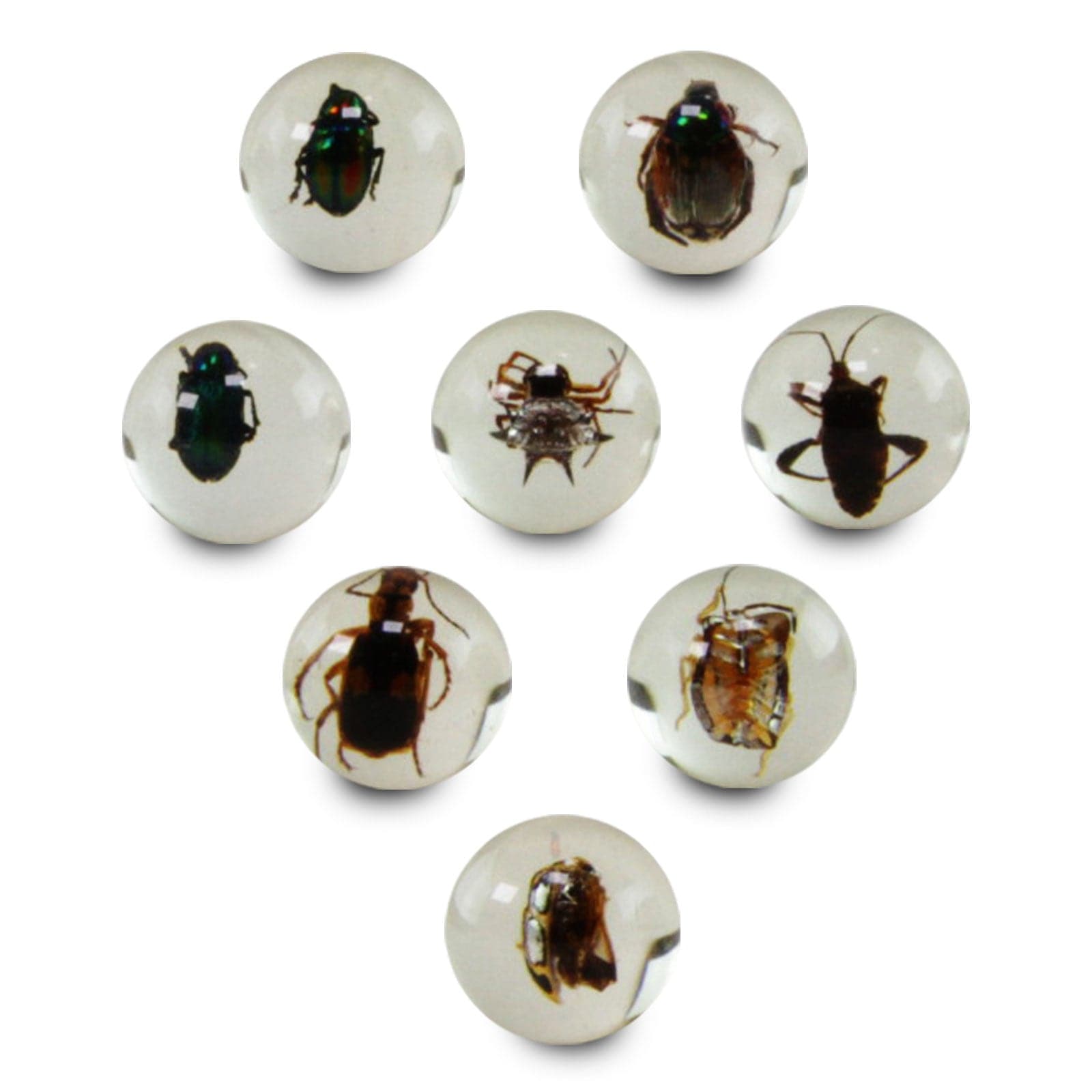 Toys - Miscellaneous Safari LTD Default Geoworld Bug Marbles