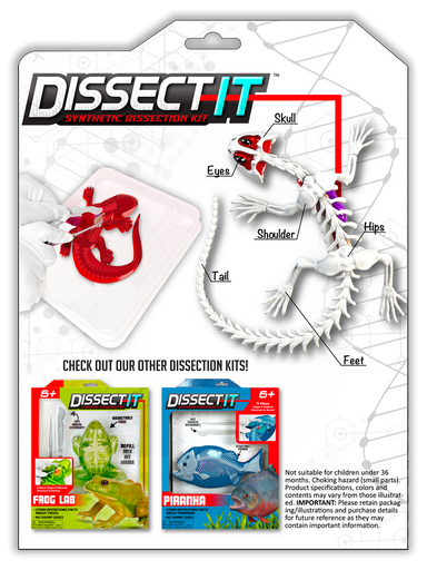 Dissect-It Salamander Lab - Saltire Games