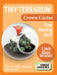 Tiny Terrarium Cacti - Crown Cactus - Saltire Games