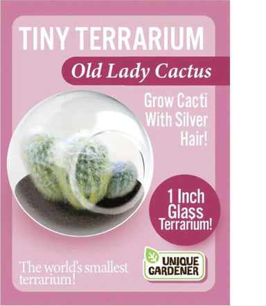 Tiny Terrarium Cacti - Old Lady Cactus - Saltire Games