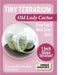 Tiny Terrarium Cacti - Old Lady Cactus - Saltire Games